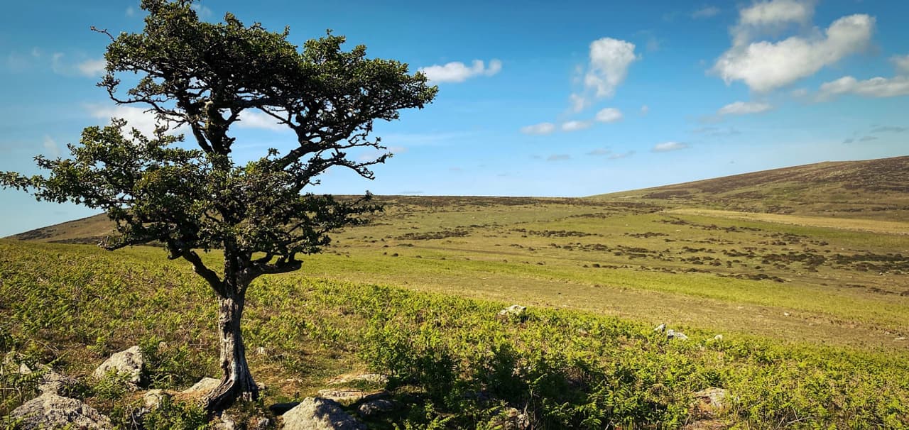 Dartmoor - About Us Dartmoor - About Us